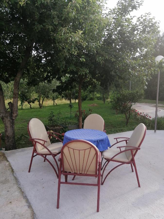 Apartman Petovic Kotor Exteriér fotografie